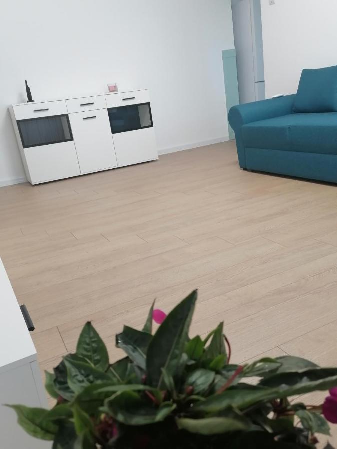 Апартаменти Locatia Perfecta In Centru Клуж-Напока Екстер'єр фото